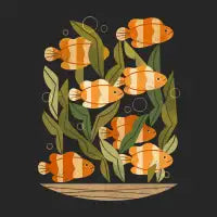 Seven Clownfish - design