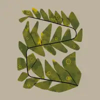 Snakey Fern - design