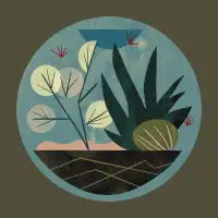 Terrarium No. 7 - design