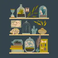 The Naturalist's Collection - design