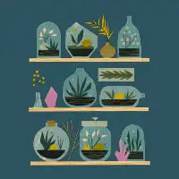 The Terrarium Collection - design