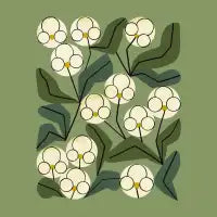 White Orchids - design