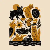 Wild North - design