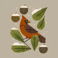 Winter Cardinal - design