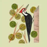 Woodpecker in Aspen Tree - design