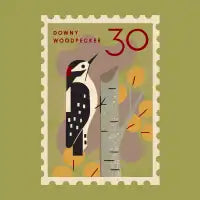 Woodpecker Postage Stamp - design