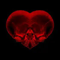 Heart of Bone (Red/Black) - design
