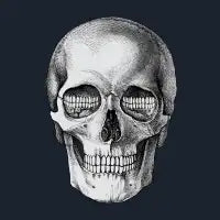 Pop Skullture: Corinthian - design