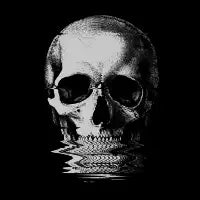 Pop Skullture: Scanner (Noir) - design