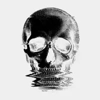 Pop Skullture: Scanner - design