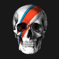 Pop Skullture: Ziggy - design