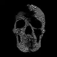 Dead Signal (noir) - design