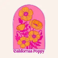 California Poppy - design