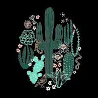 Sonoran Landscape - design