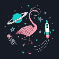 Space Flamingo - design