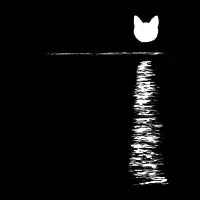 Cat Moon Shine - design
