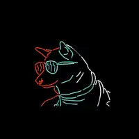 Cool Dog - design