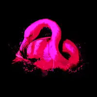 Flamingo Pink - design