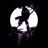 Ninja D - design