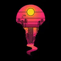 Summer Explorer - design