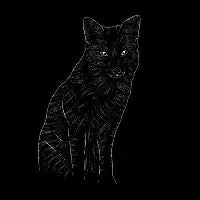 The Fox - design