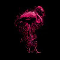 Wild Flamingo - design