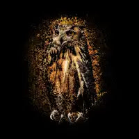 Wild Owl - design