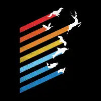 Wild Streak - design
