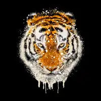 Wild Tiger - design