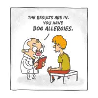 Dog allergies - design