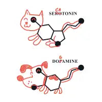 Hormones of Happiness - design