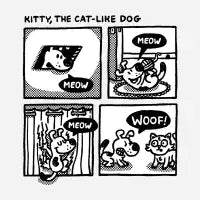 Kitty, the cat-like dog - design