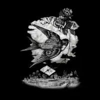 The Messenger Swallow - design