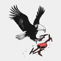 Hunting Invasive Drone - design
