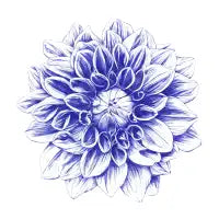 Ballpoint Blue Dahlia - design