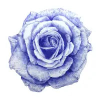 Ballpoint Pen Rose - design