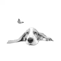 Bassey Basset - design