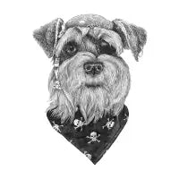 Pirate Schnauzer - design