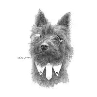 Toto Terrier - design