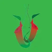 Pitcher Plant - design
