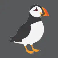 Puffin Bird - design