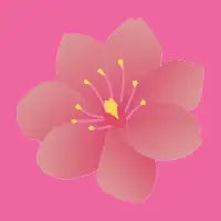 Sakura Flower - design