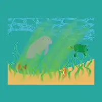 Seagrass Bed - design