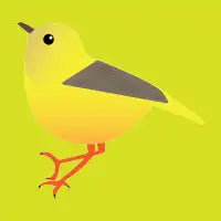 Yellow Warbler - design