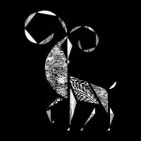 Aries - design