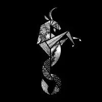 Capricorn - design