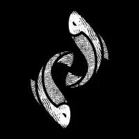 Pisces - design