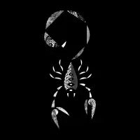 Scorpio - design