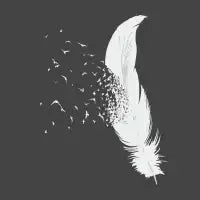 Birds Of A Feather - design