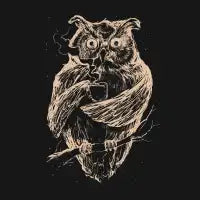 JAVA OWL - design